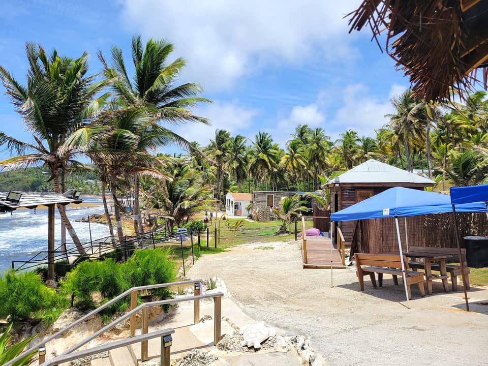 Seaside path with palms and shaded tables