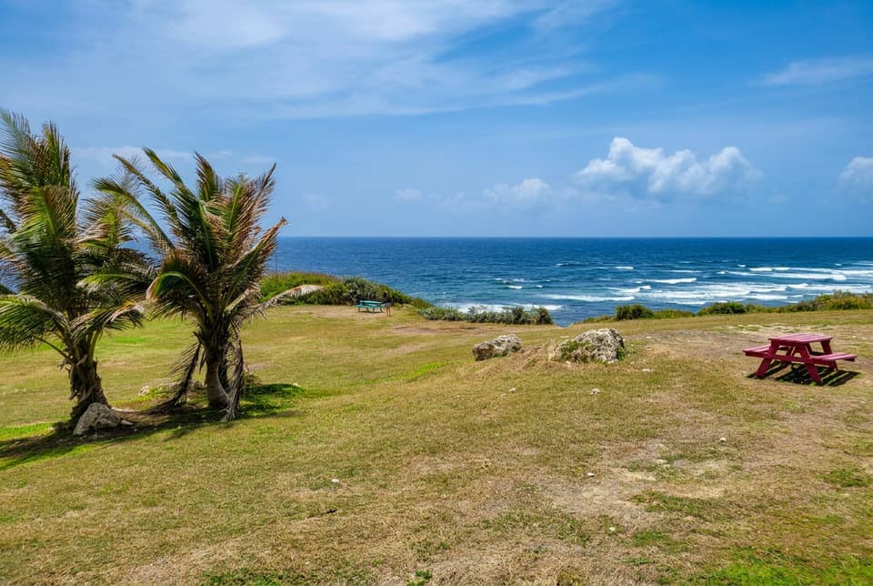 The coastline of Barbados