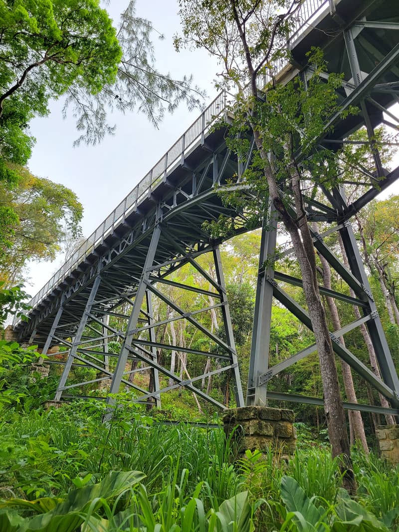 Old steel railway trestle among green trees