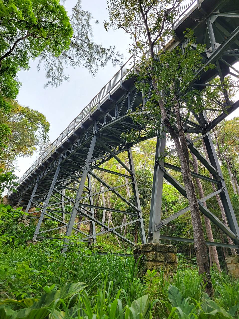 Old steel railway trestle among green trees